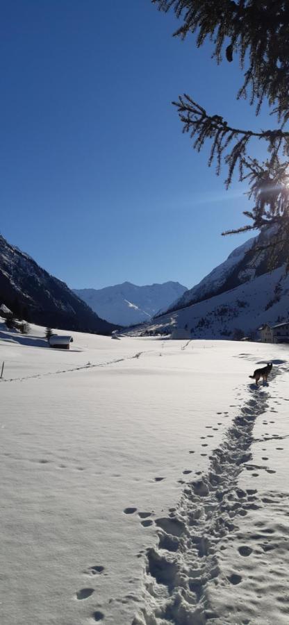 Hotel St-Leonhard Sankt Leonhard im Pitztal Extérieur photo
